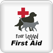 Four-Legged First Aid